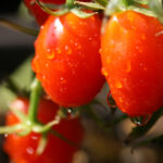 3D福彩开奖流程全解析:从摇奖到公布结果的详细步骤 0ara5