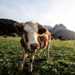 3D福彩第298期开奖结果最新公布,号码全面揭晓 0nv4e81304