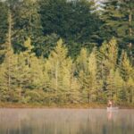 2024年度最具影响力直播红人排行榜揭晓 2f1z5o59