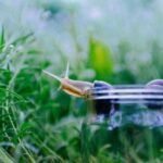 2024美国职业足球大联盟全明星赛高清直播 369hi5m