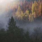 3D试机号与开奖号历史对照表深度解析 38tkhb