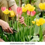 2025007期最新开奖结果查询与完整号码公布 54298i