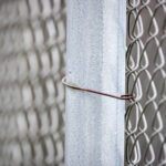 2025009期双色球开奖号码结果查询与公布 5m969b2