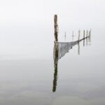 2025004期开奖结果最新公布与详细分析 apg26