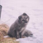 2025002期双色球开奖结果最新公布 dk9x8