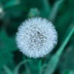 3D试机号与开奖号最新查询及走势分析 eb83a