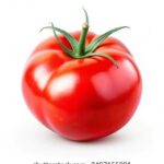 3d试机号与开奖号之间的关联性深度解析 lsxj9rl096