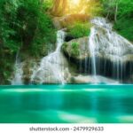 2025012期双色球开奖结果最新公布 qqxlcj