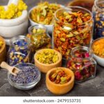 2025017期双色球开奖号码已公布,快来看看你中奖了吗? v462jczu